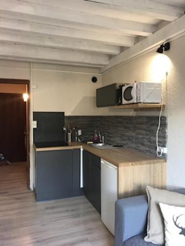 Appartement Centre Village Villard-de-Lans Ngoại thất bức ảnh